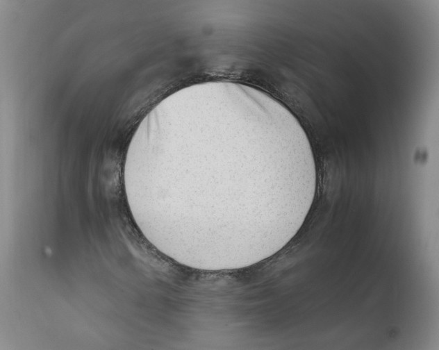 X0000111921154200908241044