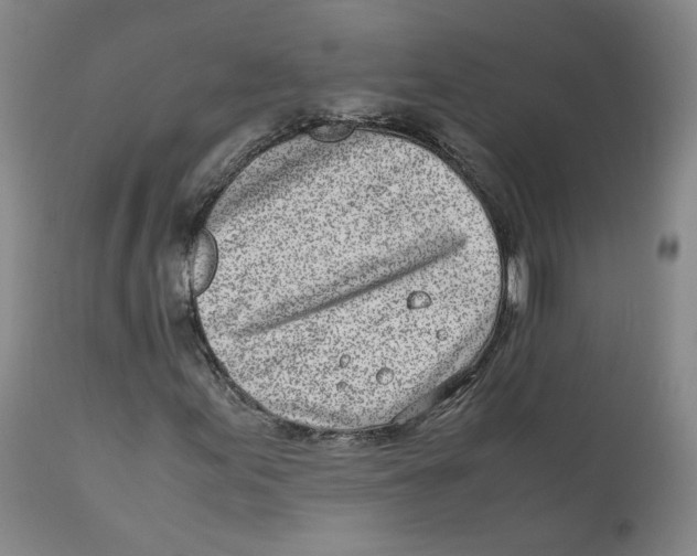 X0000111921155200908241044