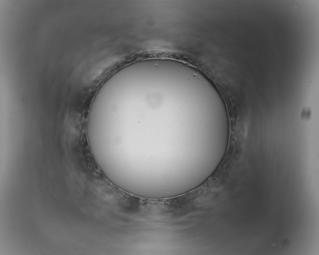 X0000111921157200908241044