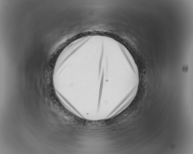 X0000111921159200908241044