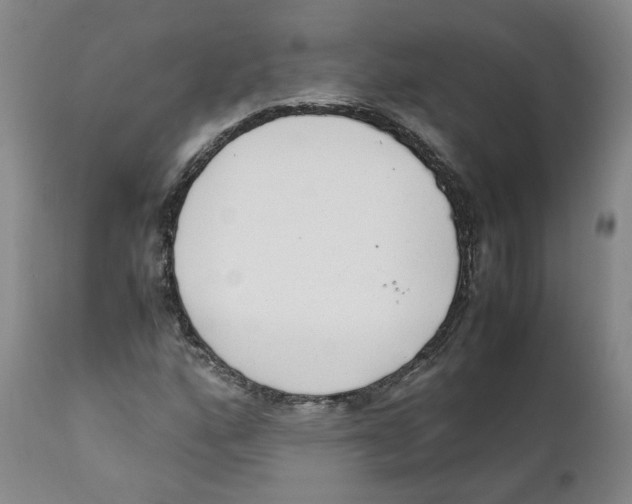 X0000111921160200908241043