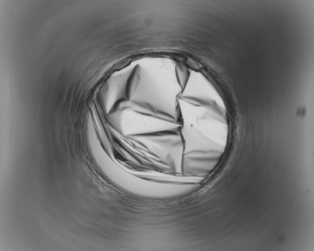 X0000111921161200908241043