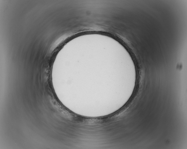 X0000111921163200908241043