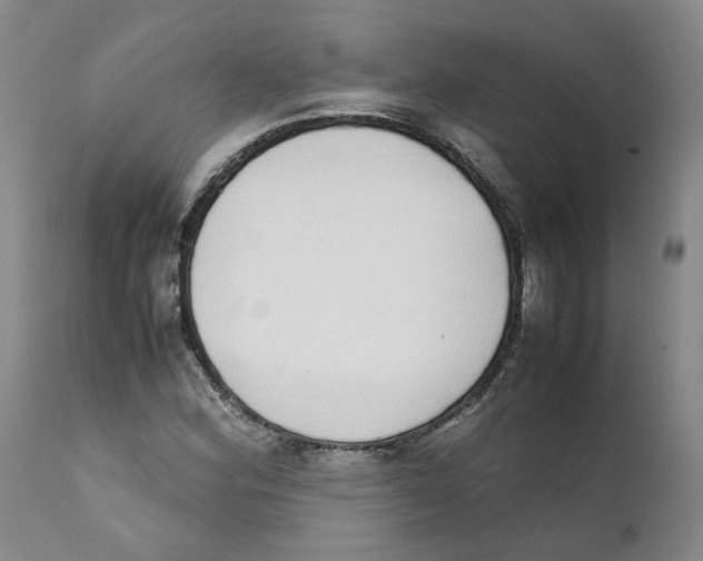 X0000111921164200908241043