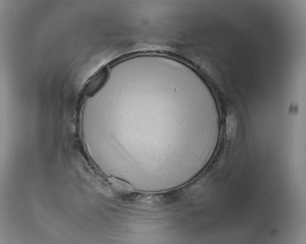 X0000111921165200908241043