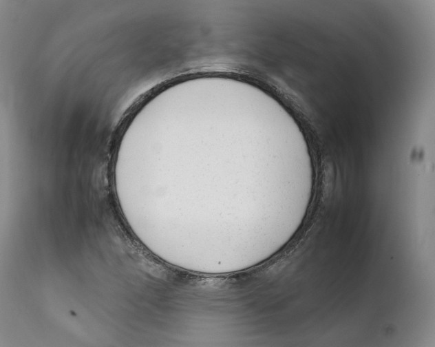 X0000111921166200908241043