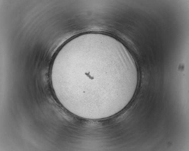 X0000111921170200908241043