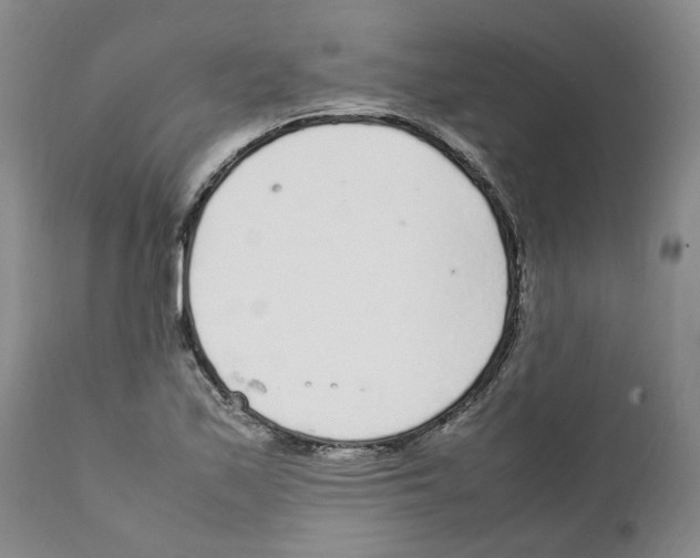 X0000111921171200908241043