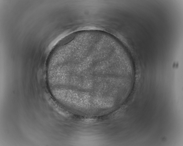 X0000111921173200908241043