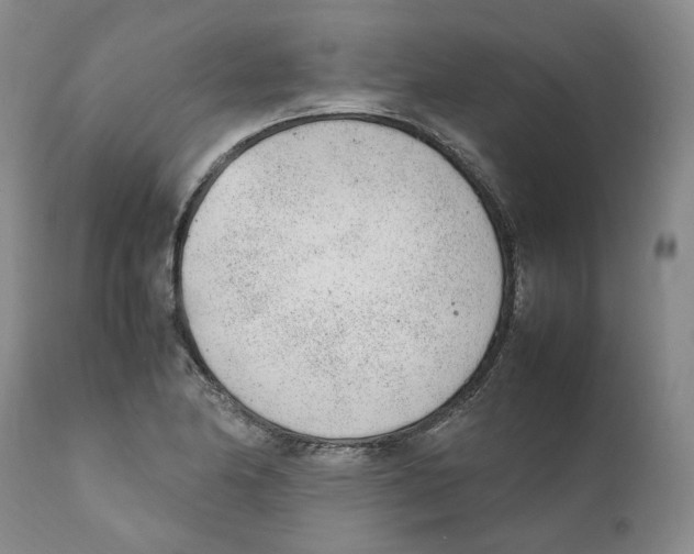 X0000111921174200908241043