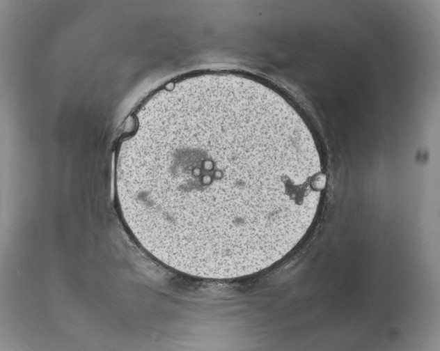 X0000111921175200908241043