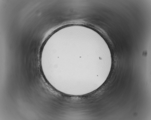 X0000111921176200908241043