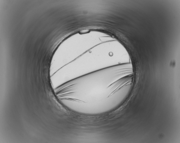 X0000111921177200908241043