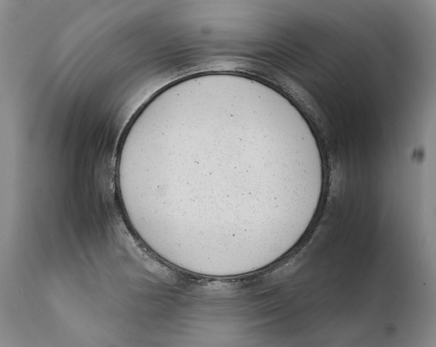 X0000111921178200908241043