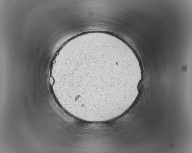 X0000111921179200908241043