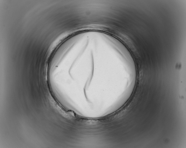 X0000111921180200908241043