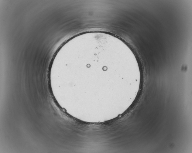 X0000111921181200908241043