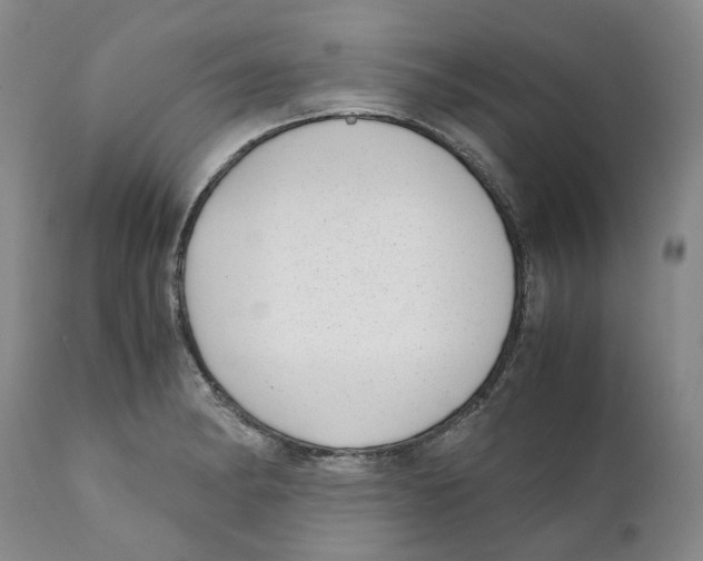 X0000111921182200908241043