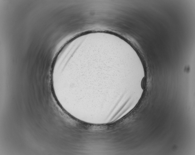 X0000111921183200908241043