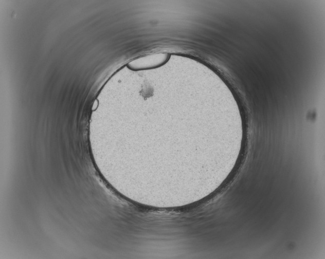 X0000111921185200908241043