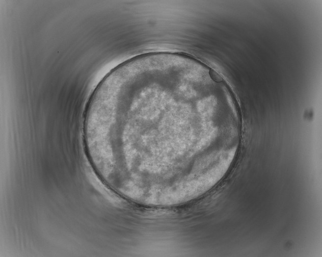 X0000111921187200908241043