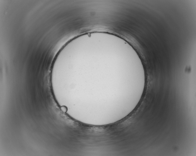 X0000111921190200908241043