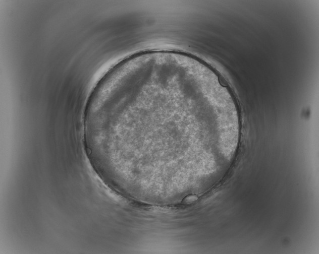 X0000111921191200908241043