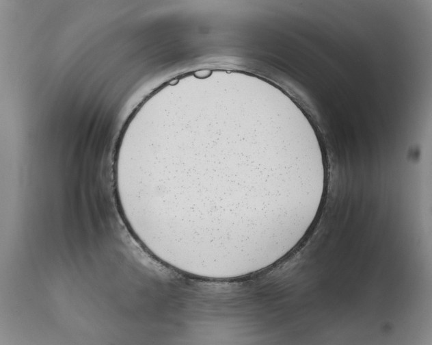 X0000111921192200908241043