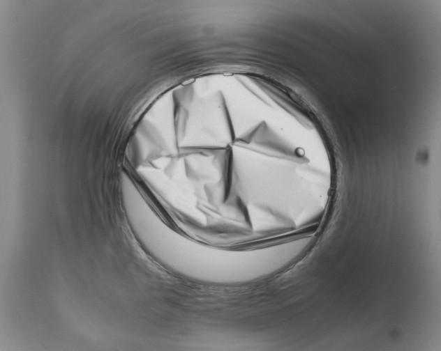 X0000111921193200908241043