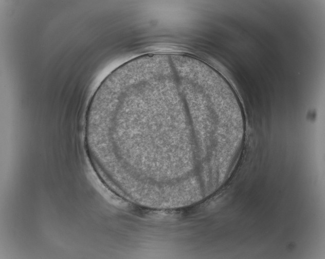 X0000111921195200908241043