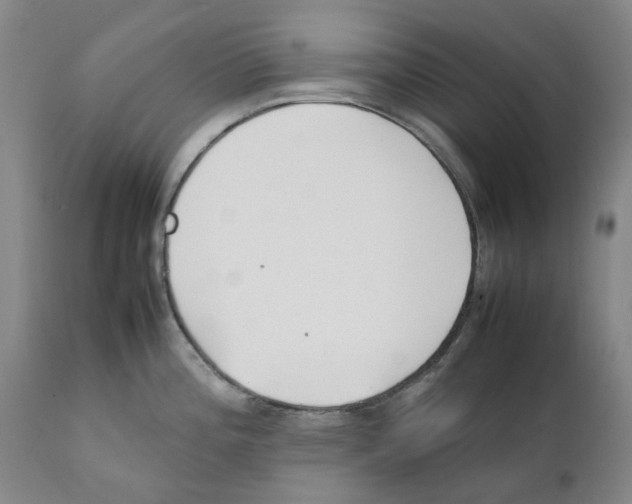 X0000111921196200908241043