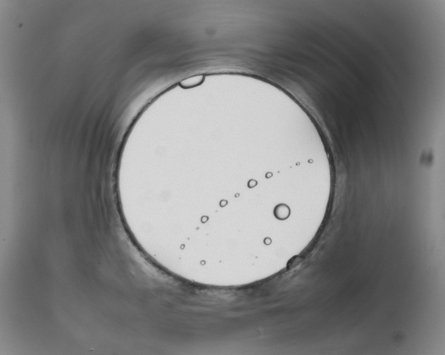 X0000111921197200908241043