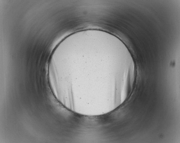 X0000111921198200908241043