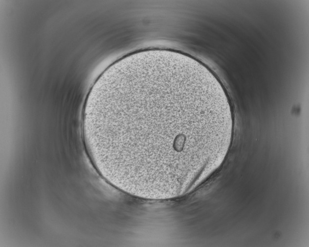 X0000111921199200908241043