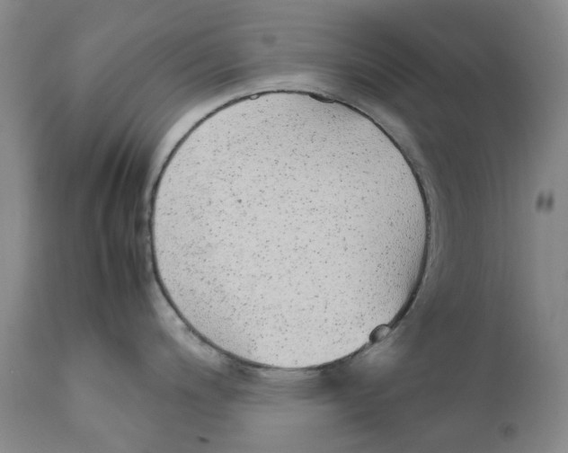 X0000111921200200908241043