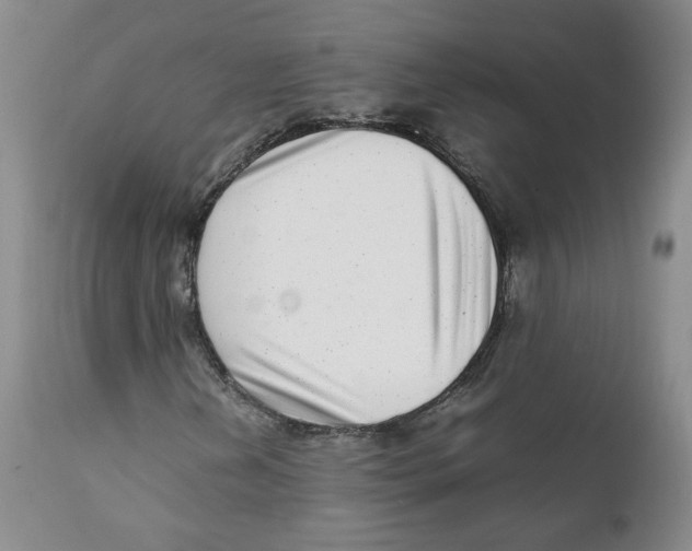 X0000111921202200908241042