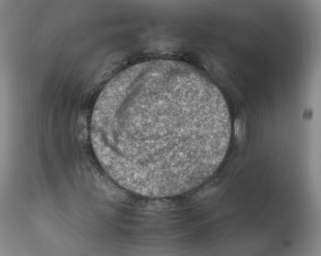 X0000111921203200908241042