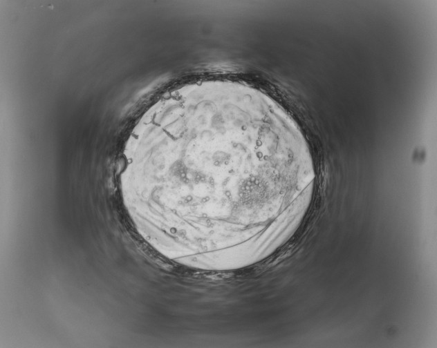 X0000111921205200908241042