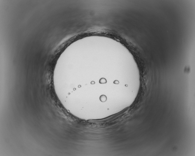 X0000111921206200908241042