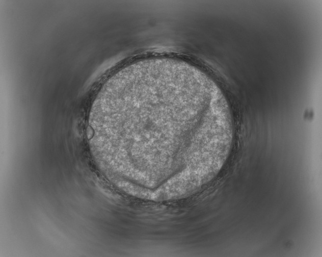 X0000111921207200908241042