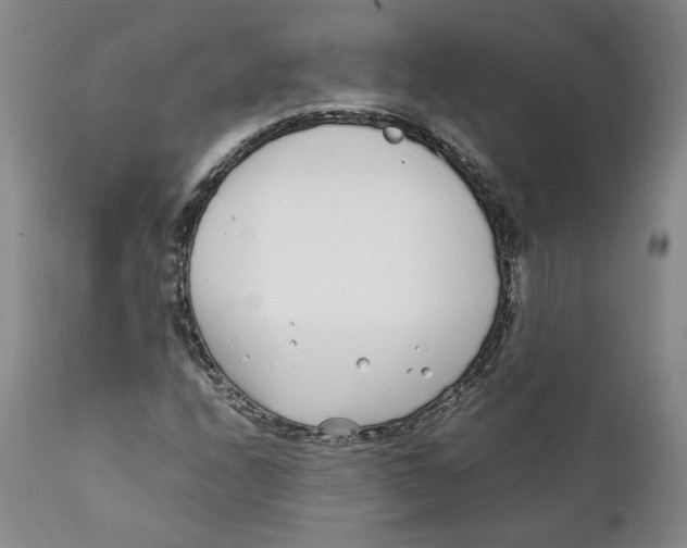 X0000111921208200908241042