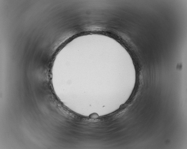 X0000111921209200908241042