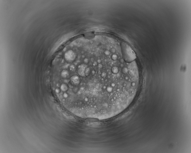 X0000111921211200908241042