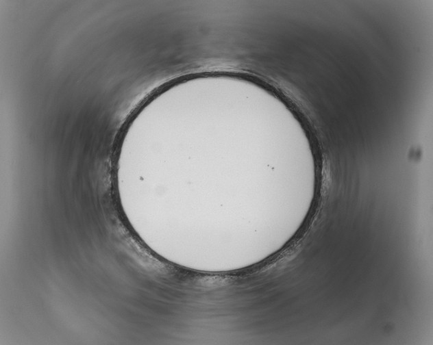 X0000111921212200908241042