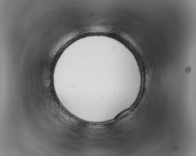 X0000111921213200908241042