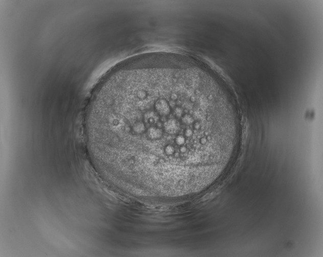 X0000111921215200908241042