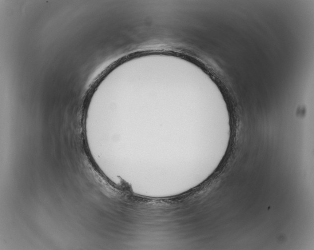 X0000111921216200908241042