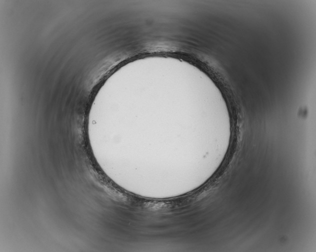 X0000111921217200908241042