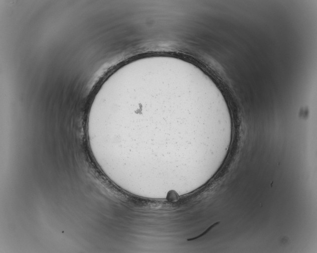 X0000111921218200908241042