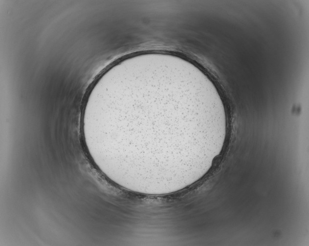 X0000111921220200908241042